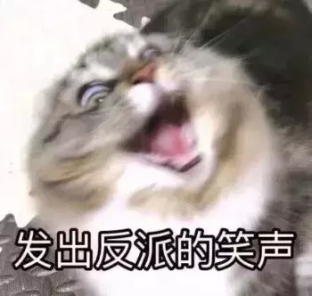 养猫的十大理由天惹你居然还没养猫